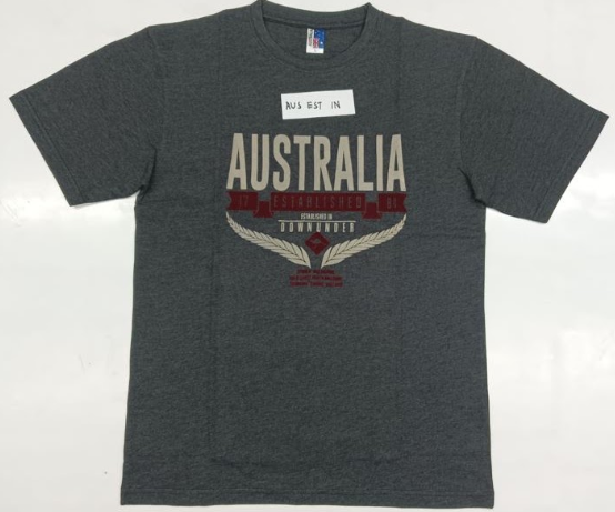 AUS ESTABLISHED INN HEATHER GREY TSHIRTS